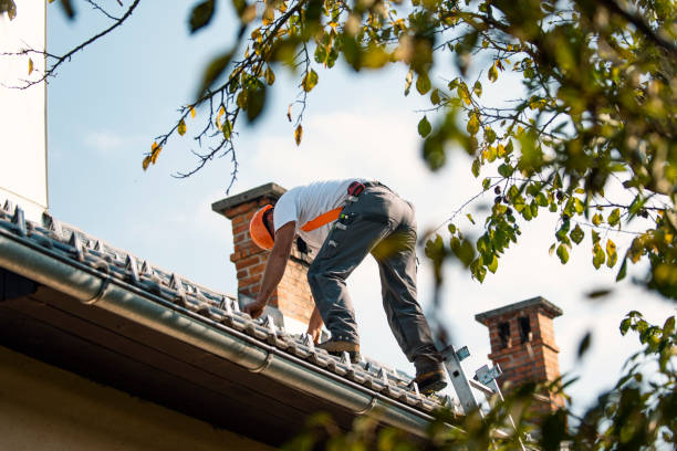 Quick and Trustworthy Emergency Roof Repair Services in Sanford, CO