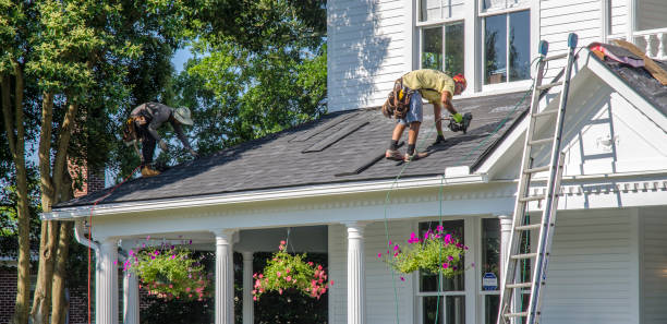 Best Roof Gutter Cleaning  in Sanford, CO
